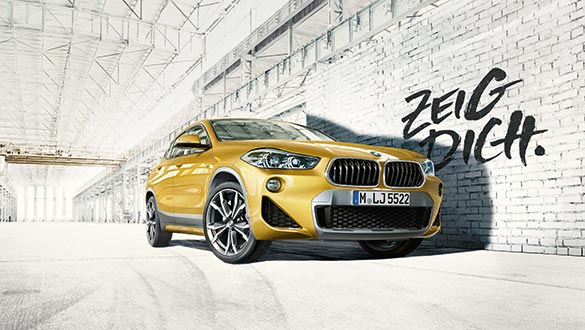 BMW X2 Details vom Fahrzeug